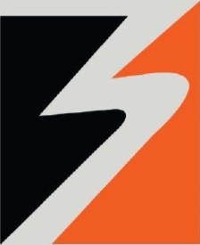 Sleek Logo